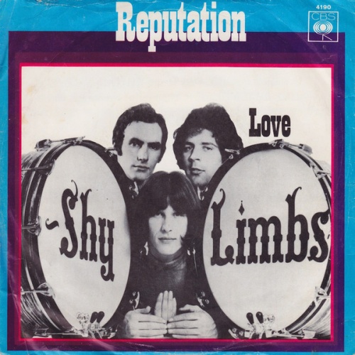 Vinyl / Shy Limbs - Reputation