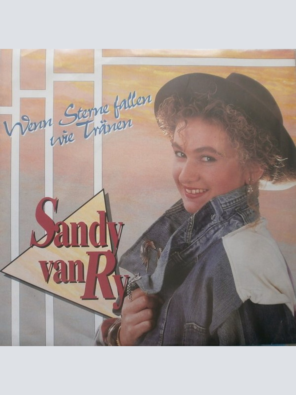 Vinyl / Sandy Van Ry - Wenn Sterne Fallen Wie Tränen