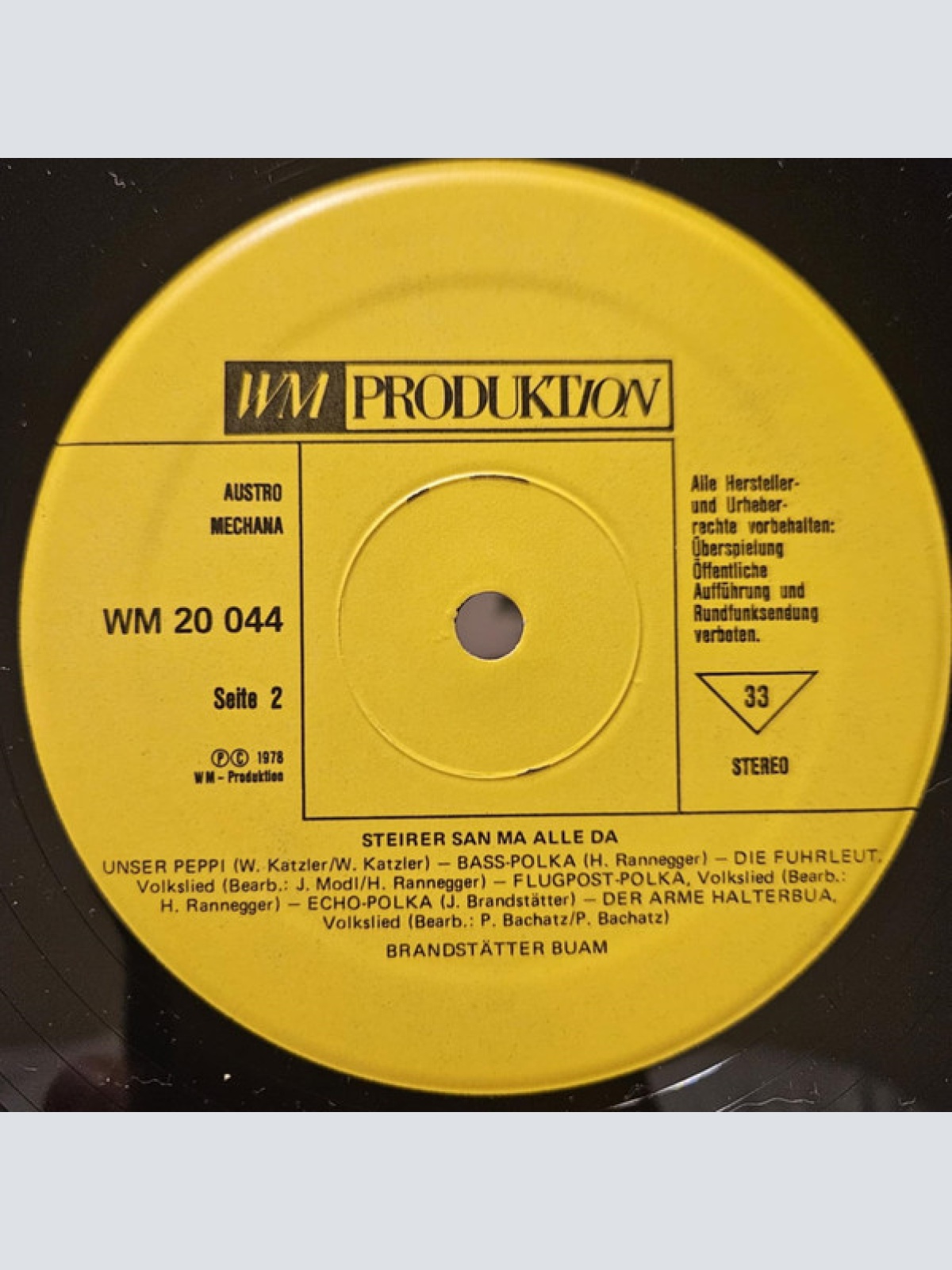 Vinyl / Brandstätter Buam* - Steirer San Ma Alle Da