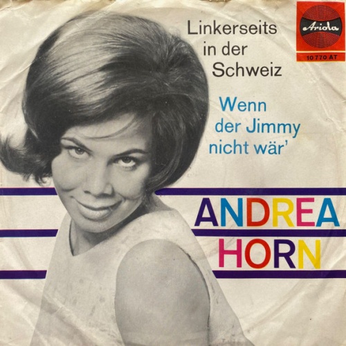 Vinyl / Andrea Horn - Linkerseits In Der Schweiz