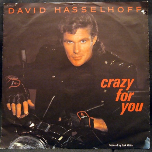 Vinyl / David Hasselhoff - Crazy For You