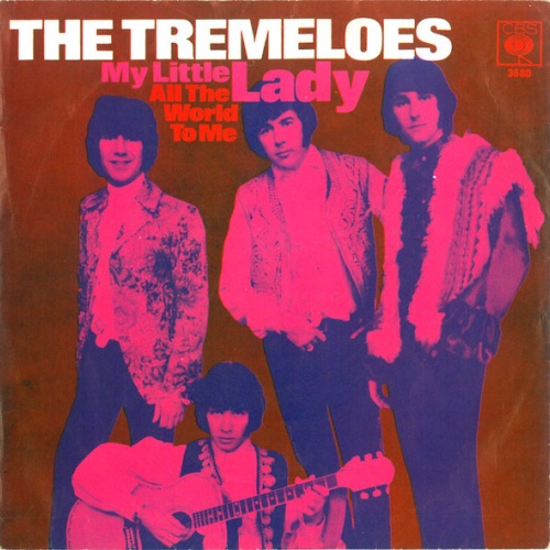 Vinyl / The Tremeloes - My Little Lady