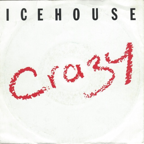 Vinyl / Icehouse - Crazy