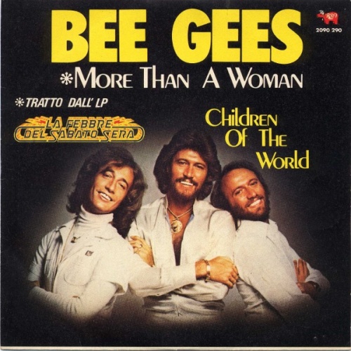 Vinyl / Bee Gees - More Than A Woman