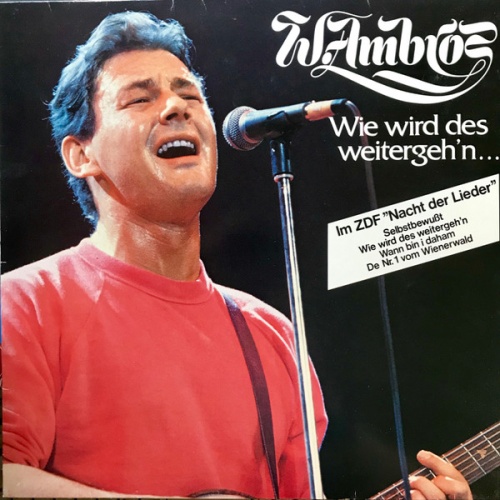 Vinyl / W. Ambros* - Wie Wird Des Weitergeh'n...