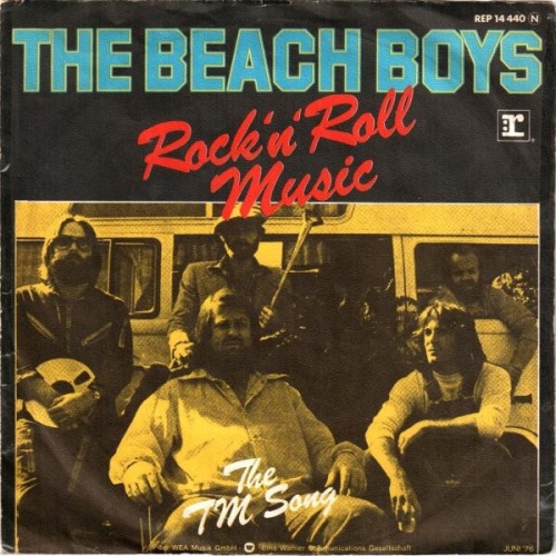 Vinyl / The Beach Boys - Rock'n'Roll Music
