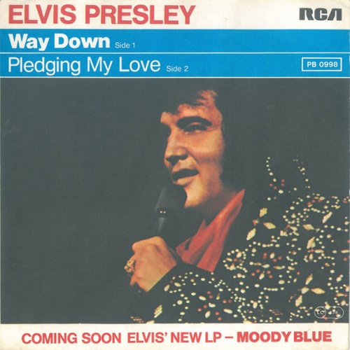 Vinyl / Elvis Presley - Way Down