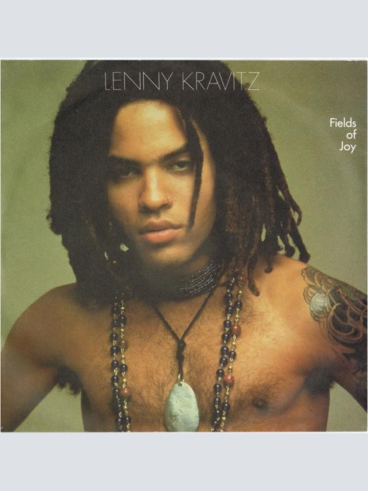 Vinyl / Lenny Kravitz - Fields Of Joy
