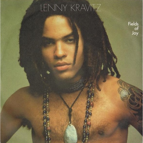 Vinyl / Lenny Kravitz - Fields Of Joy