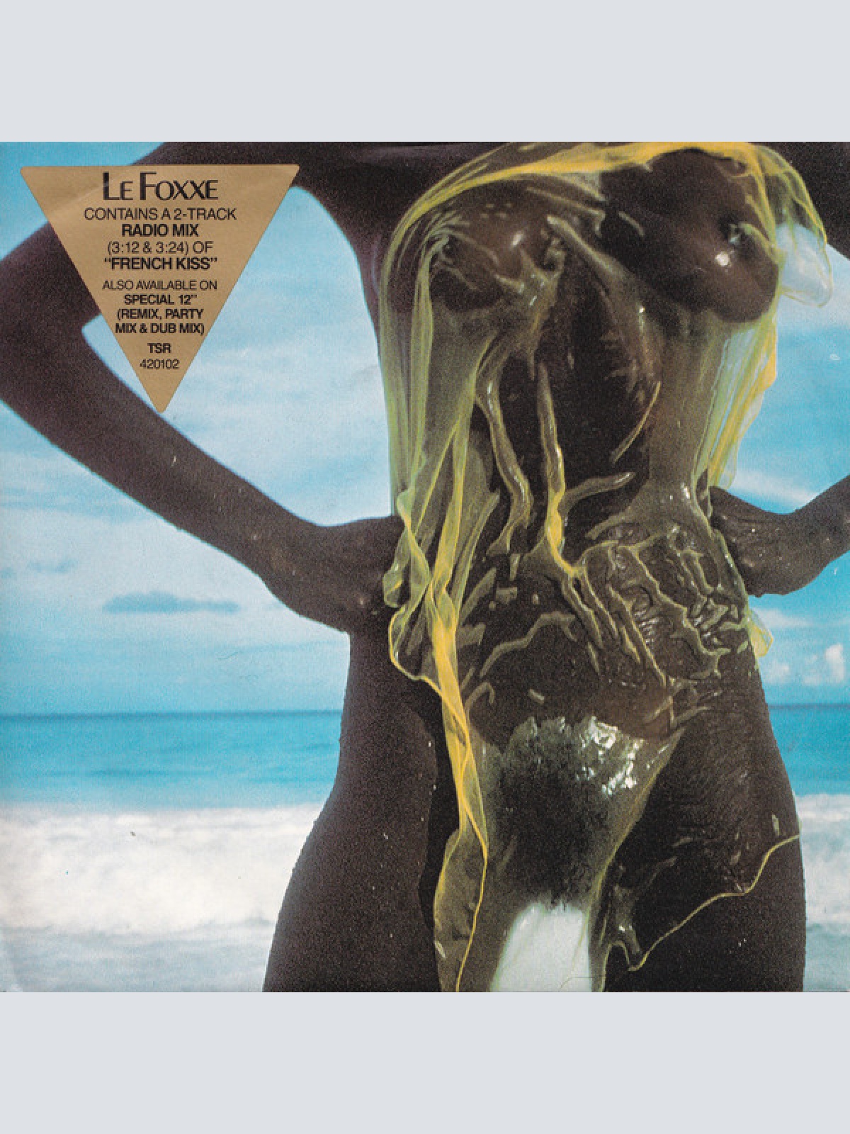 Vinyl / Le Foxxe - French Kiss