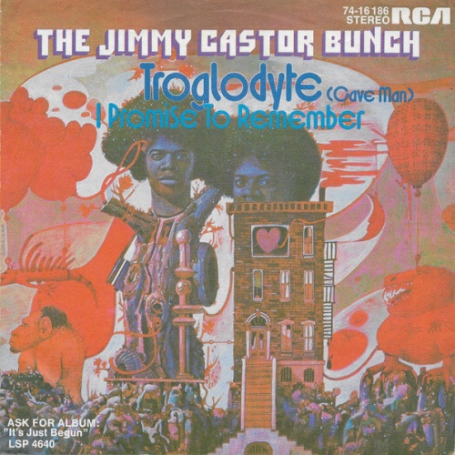 Vinyl / The Jimmy Castor Bunch - Troglodyte (Cave Man)