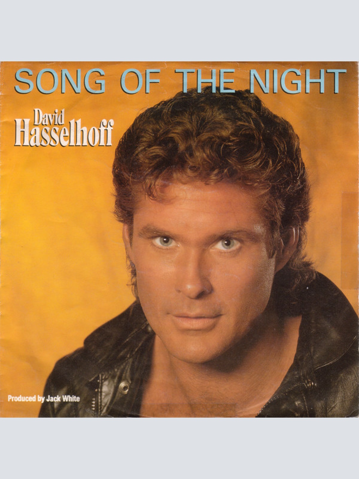 Vinyl / David Hasselhoff - Song Of The Night
