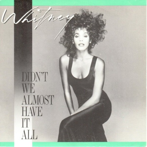 Vinyl / Whitney* - Didn't We Almost Have It All