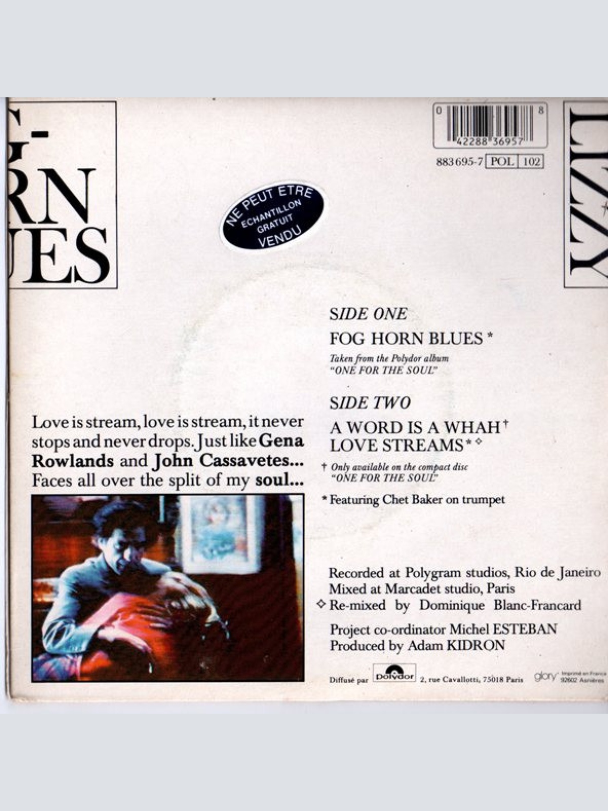 Vinyl / Lizzy Mercier Descloux - Fog Horn Blues