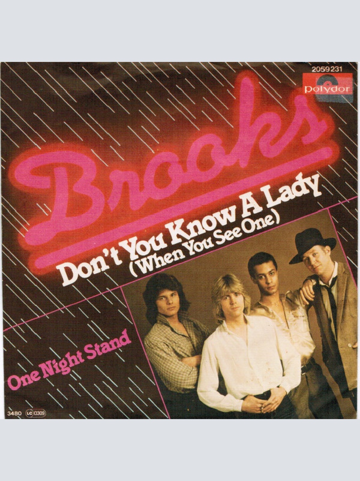 Vinyl / Brooks (12) - Don't You Know A Lady (When You See One)