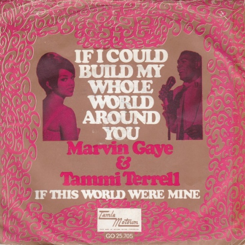 Vinyl / Marvin Gaye & Tammi Terrell - If I Could Build My Whole World Around You