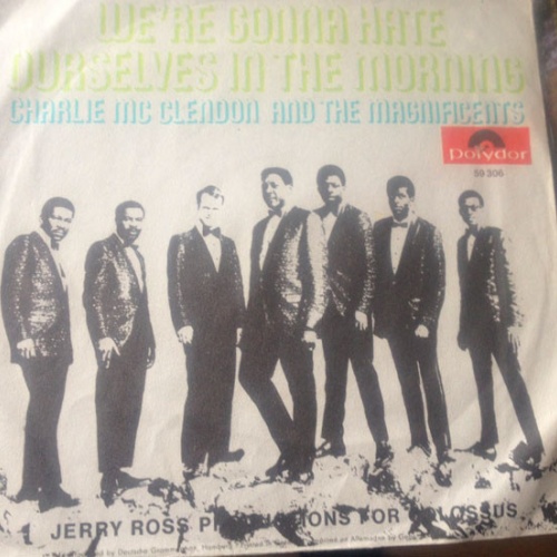 Vinyl / Charlie McClendon And The Magnificents (8) - We're Gonna Hate Ourselves In The Morning