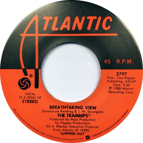 Vinyl / The Trammps - Breathtaking View / I Don't Want To Ever Lose Your Love