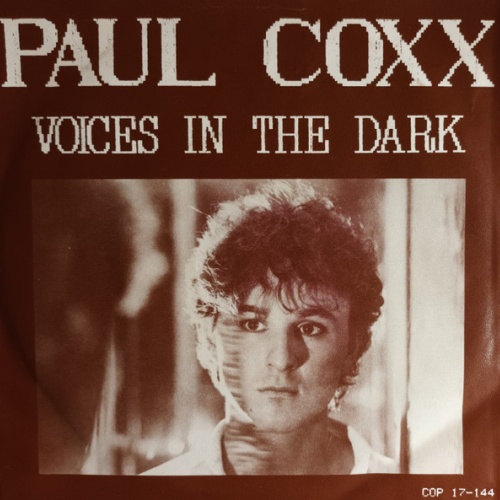 Vinyl / Paul Coxx - Voices In The Dark