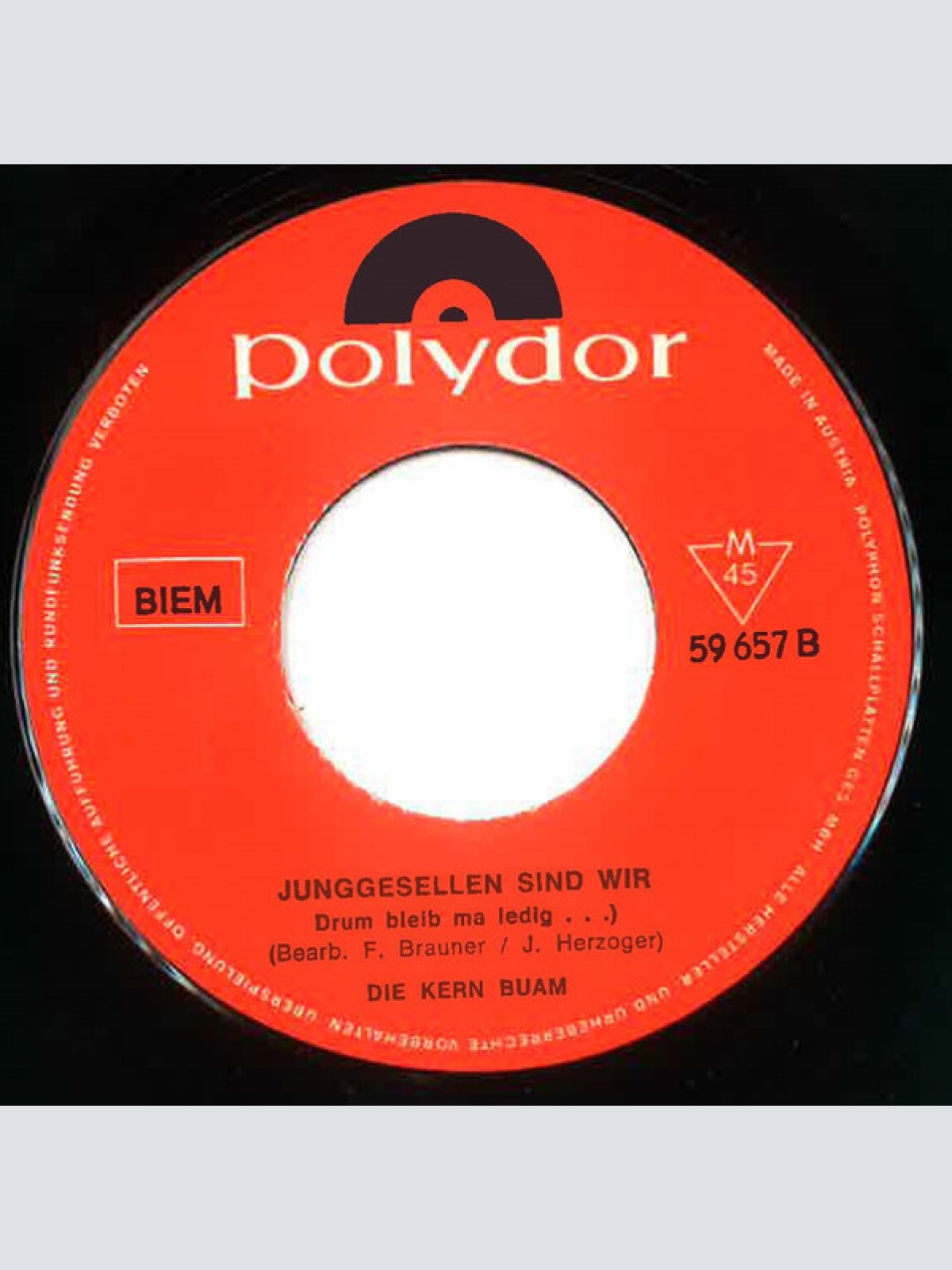 Vinyl / Die Kern Buam - Dengellied