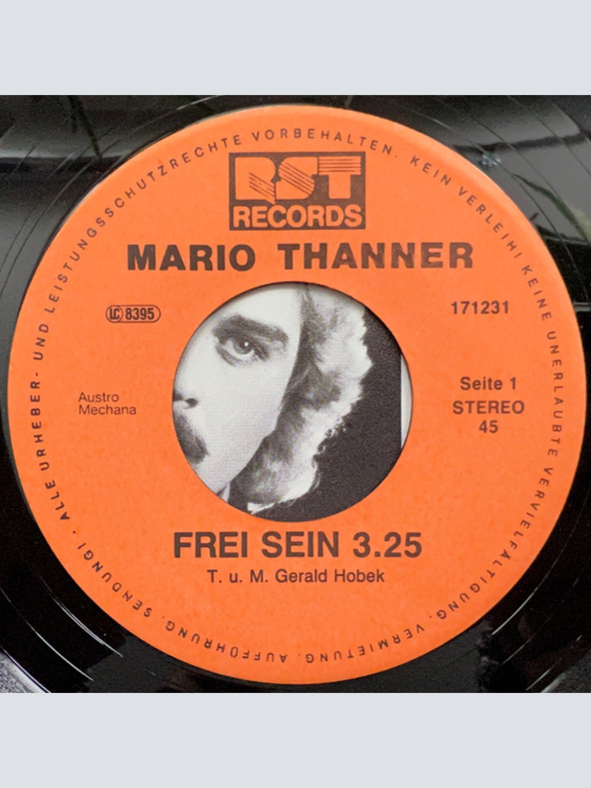 Vinyl / Mario Tanner - Frei Sein