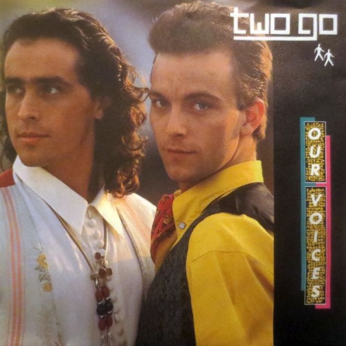 Vinyl / Two Go - Our Voices