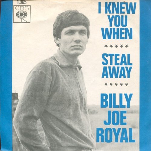 Vinyl / Billy Joe Royal - I Knew You When / Steal Away
