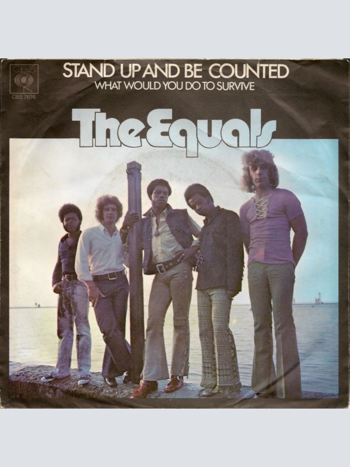 Vinyl / The Equals - Stand Up And Be Counted / What Would You Do To Survive