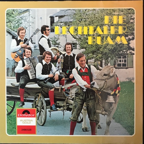 Vinyl / Die Lechtaler Buam* - Weite Wege