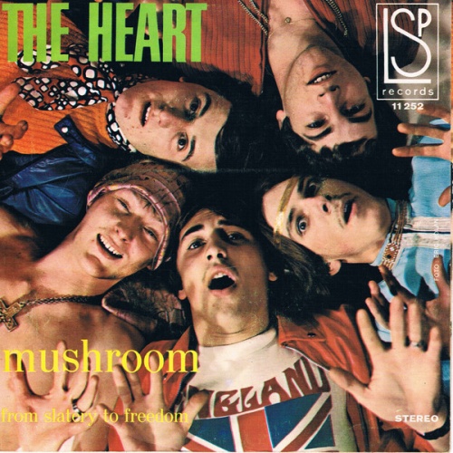 Vinyl / The Heart (6) - Mushroom
