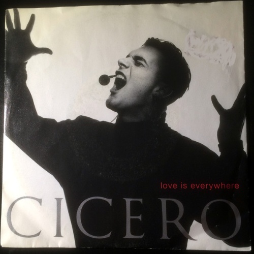 Vinyl / Cicero - Love Is Everywhere