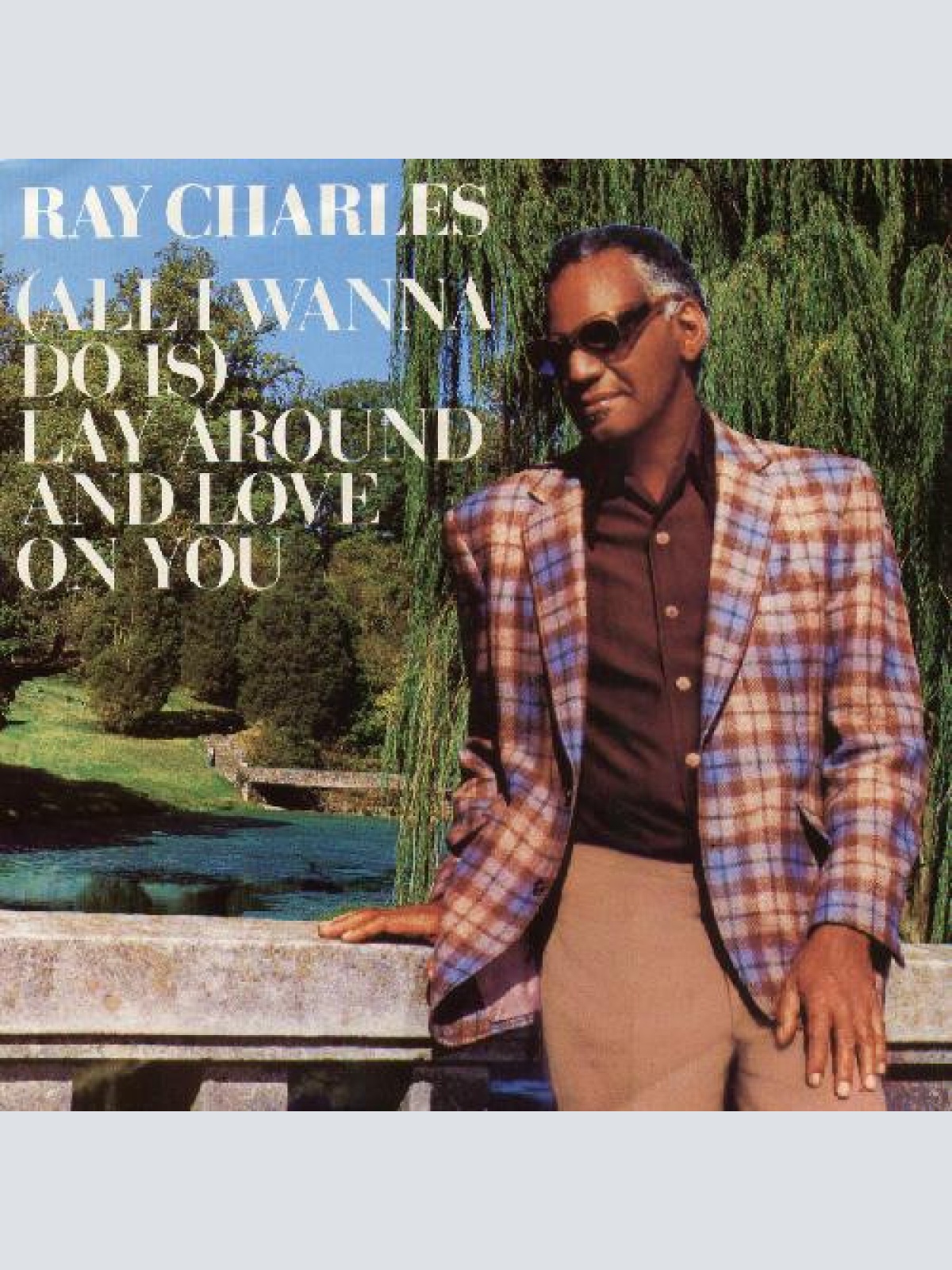 Vinyl / Ray Charles - (All I Wanna Do Is) Lay Around And Love On You