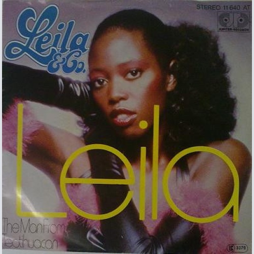 Vinyl / Leila And Co.* - Leila