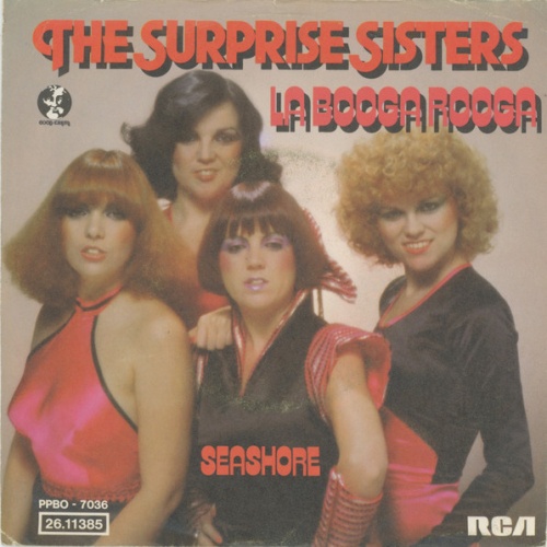 Vinyl / The Surprise Sisters - La Booga Rooga / Seashore