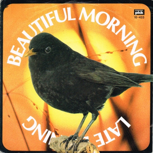 Vinyl / Herbert Rehbein And His Orchestra - Beautiful Morning