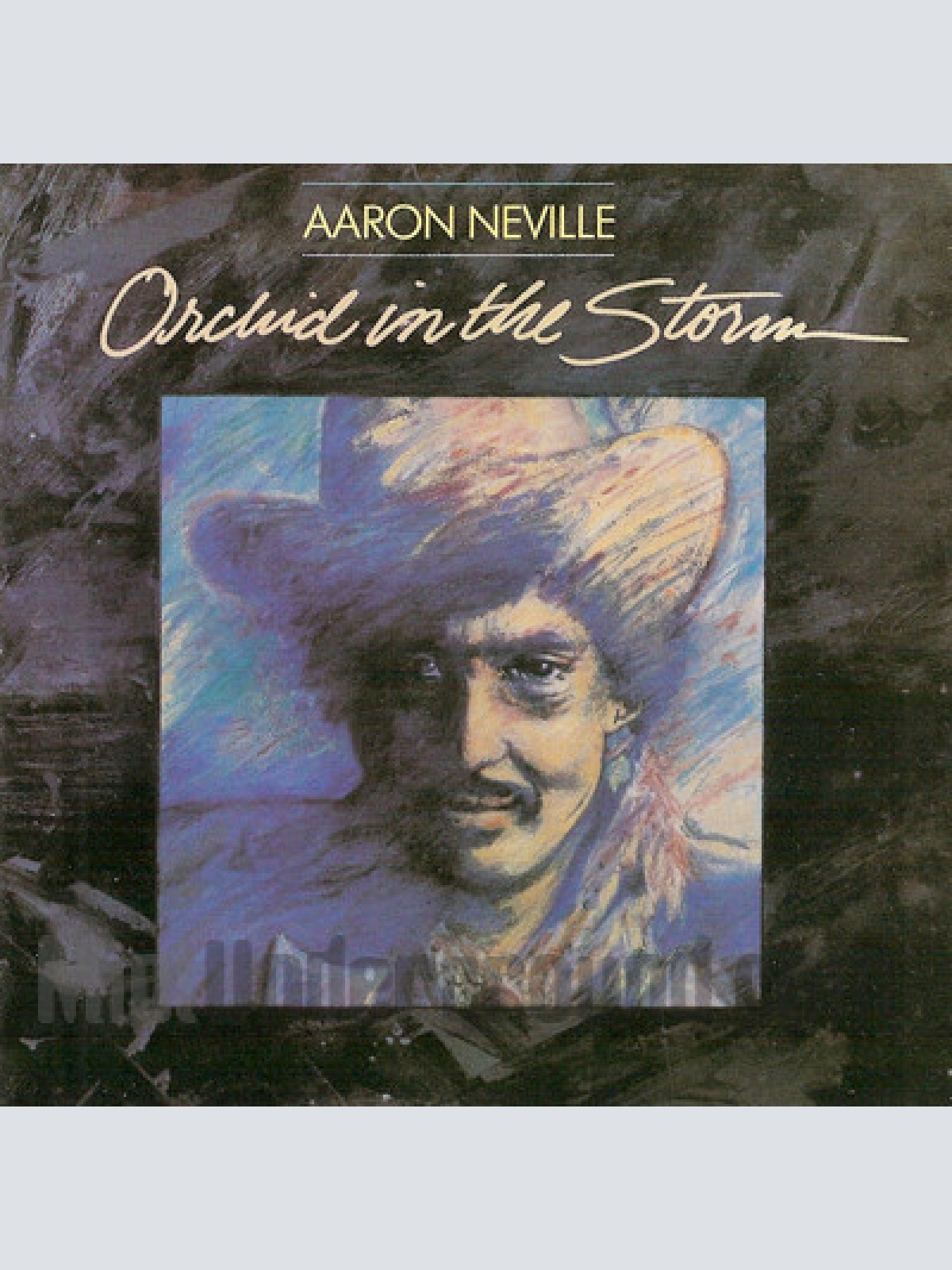 Vinyl / Aaron Neville - Orchid In The Storm