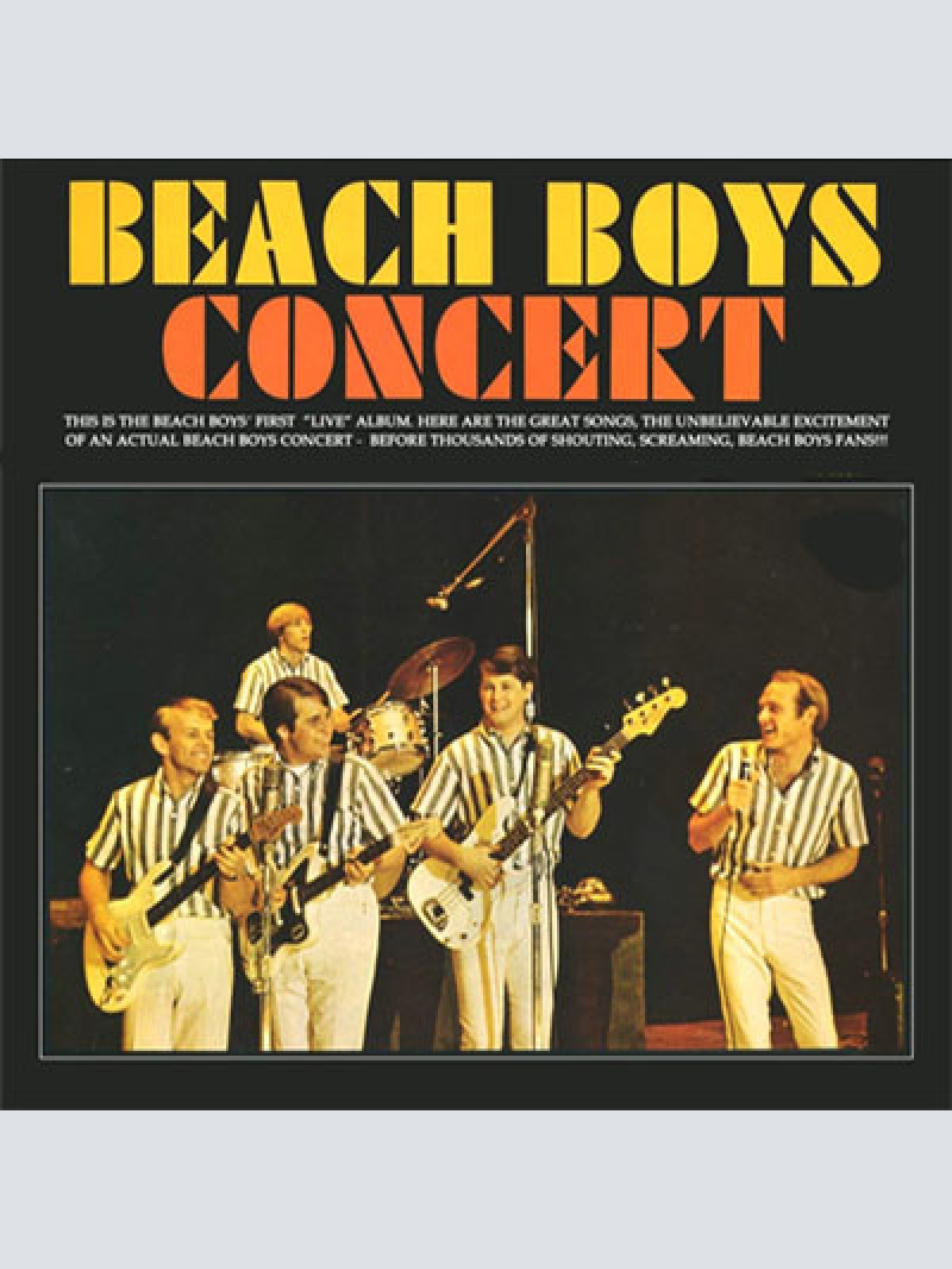 Vinyl / The Beach Boys - Beach Boys Concert