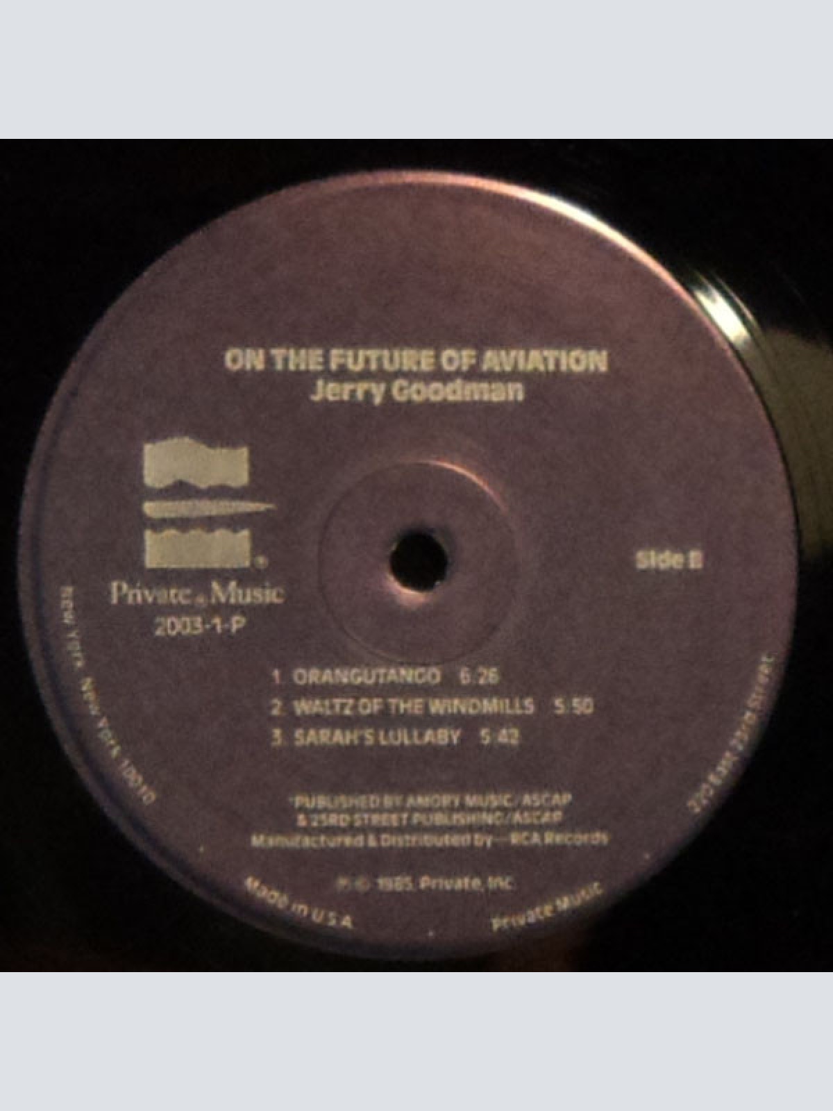 Vinyl / Jerry Goodman - On The Future Of Aviation