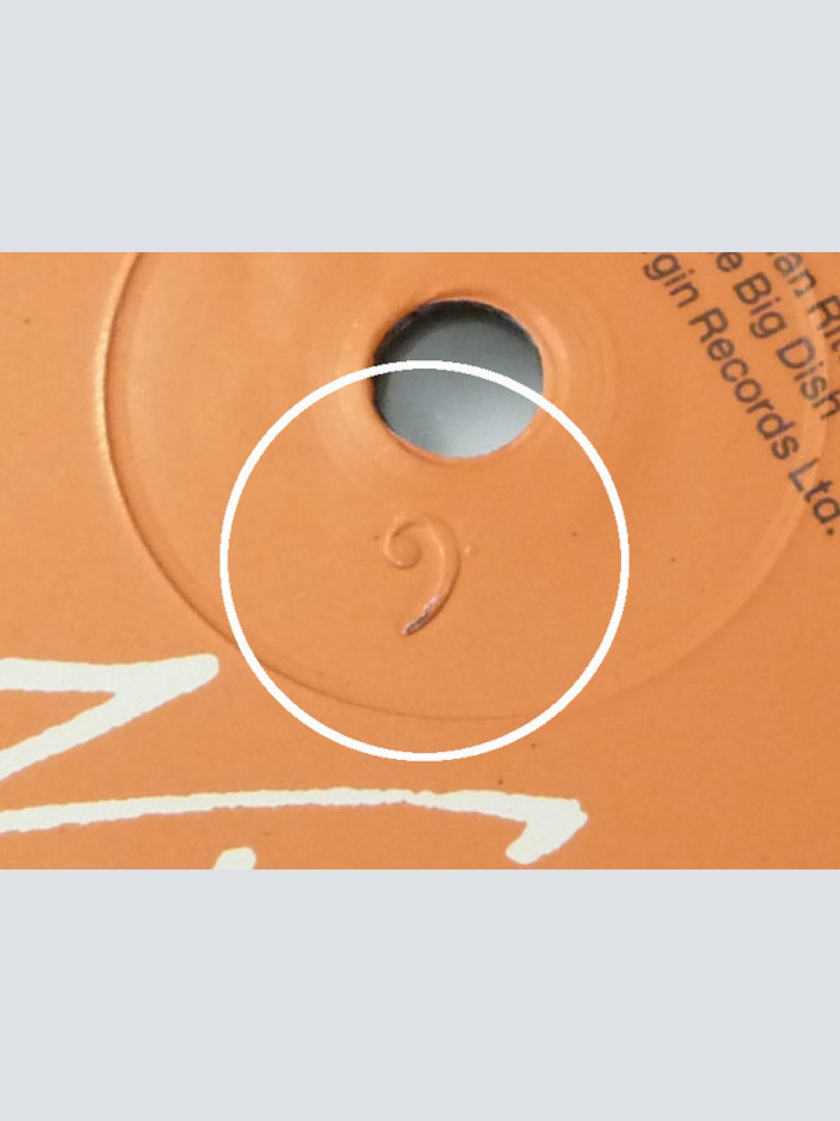 Vinyl / The Big Dish - Swimmer