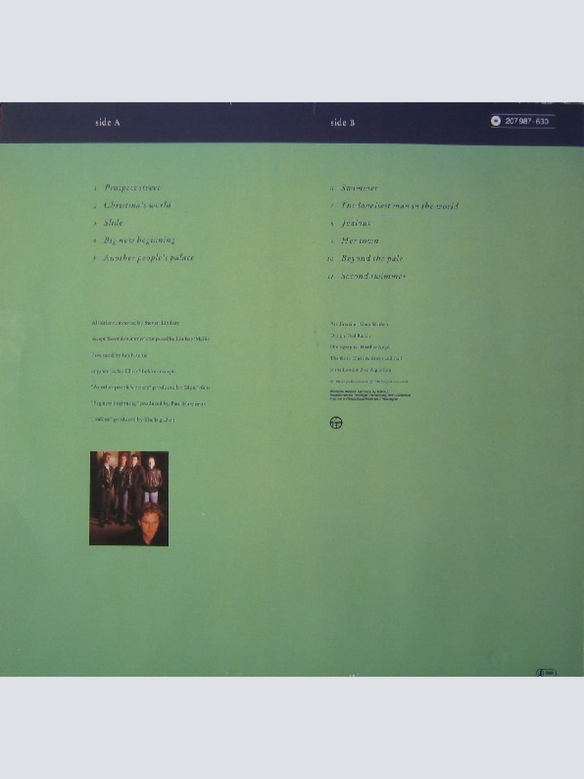 Vinyl / The Big Dish - Swimmer