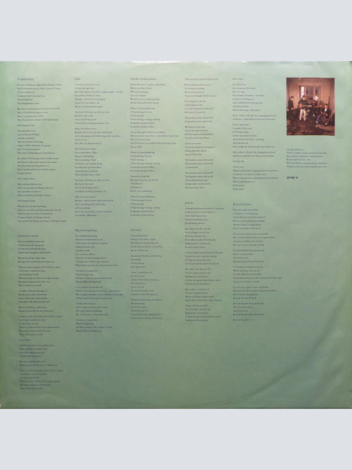 Vinyl / The Big Dish - Swimmer