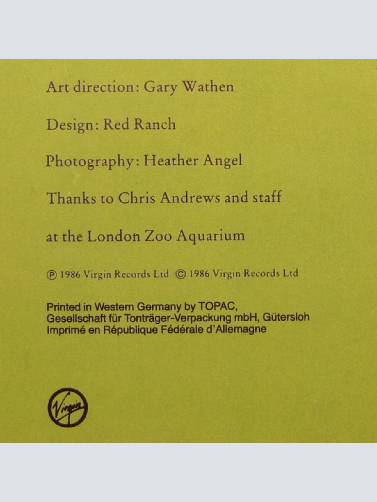 Vinyl / The Big Dish - Swimmer