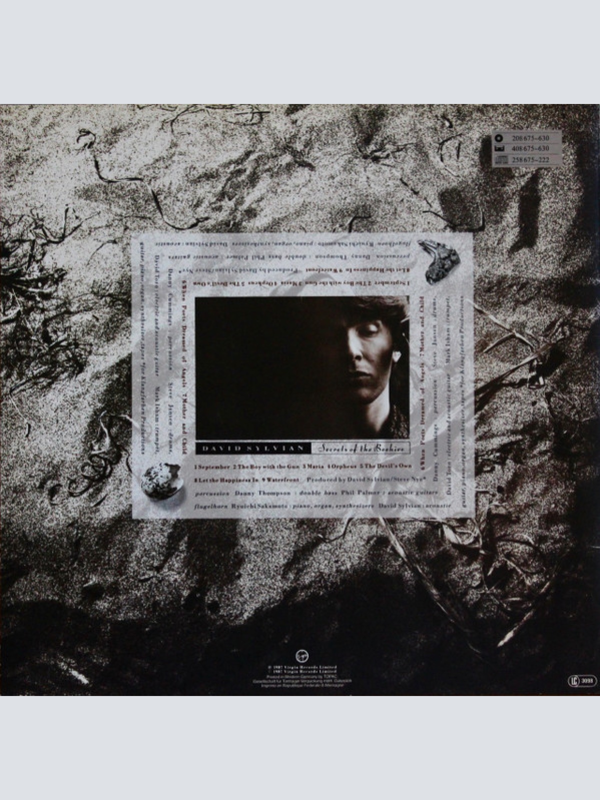 Vinyl / David Sylvian - Secrets Of The Beehive