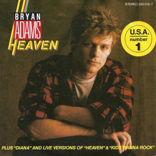 Vinyl / Bryan Adams - Heaven