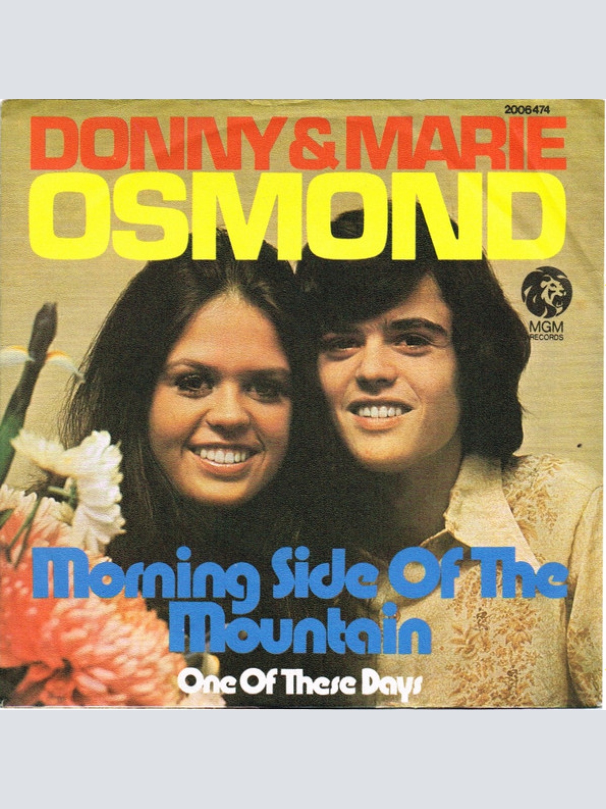 Vinyl / Donny & Marie Osmond - Morning Side Of The Mountain