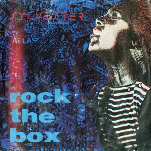 Vinyl / Sylvester - Rock The Box