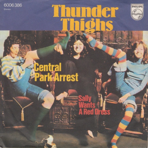 Vinyl / Thunder Thighs* - Central Park Arrest
