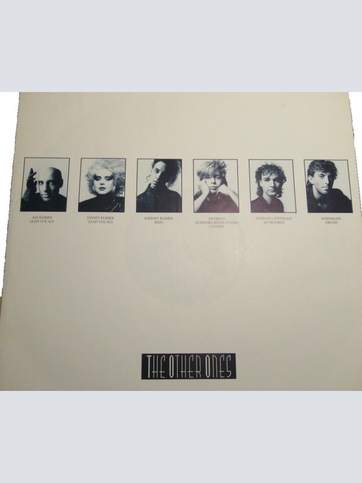 Vinyl / The Other Ones - The Other Ones