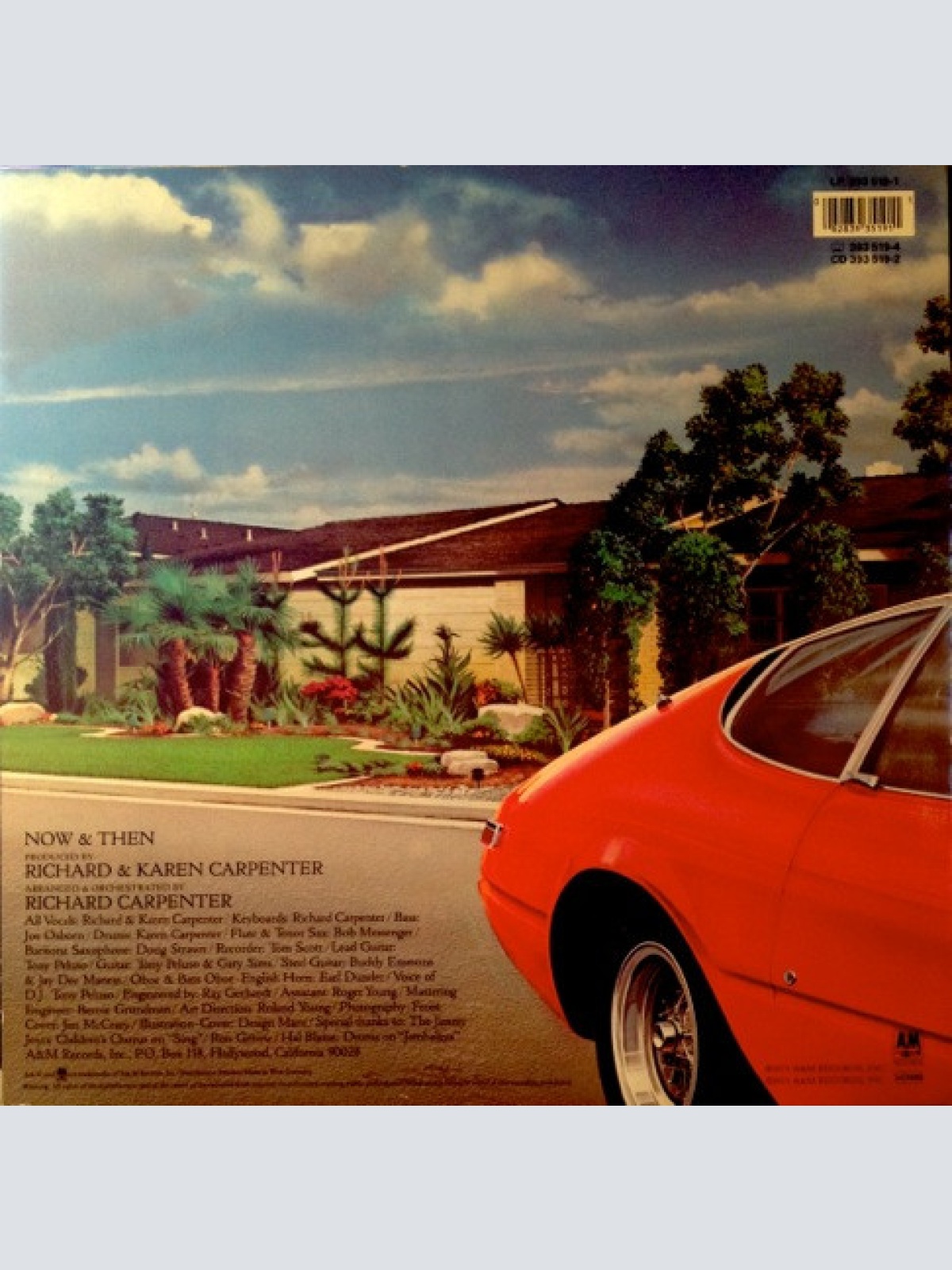 Vinyl / Carpenters - Now & Then