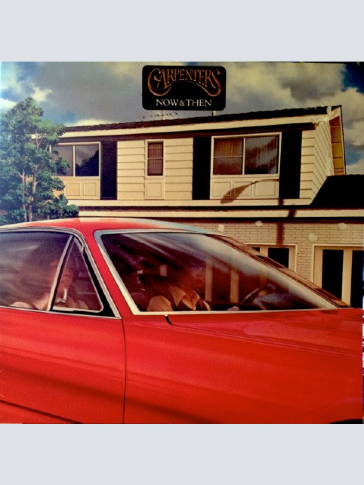 Vinyl / Carpenters - Now & Then